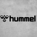 Hummel – Bild 4